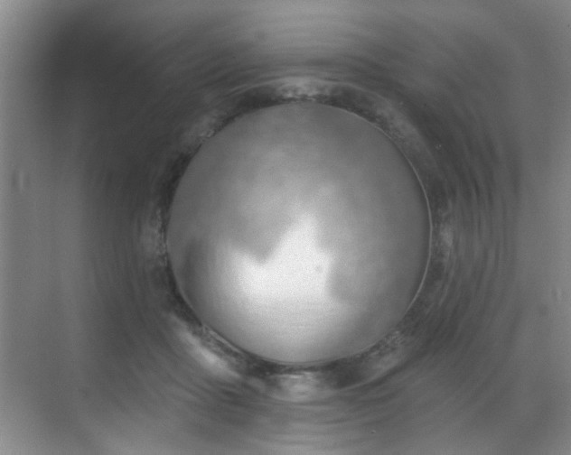 X0000070880411200606161208