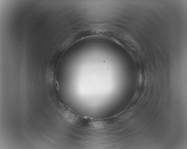 X0000070880417200606161208