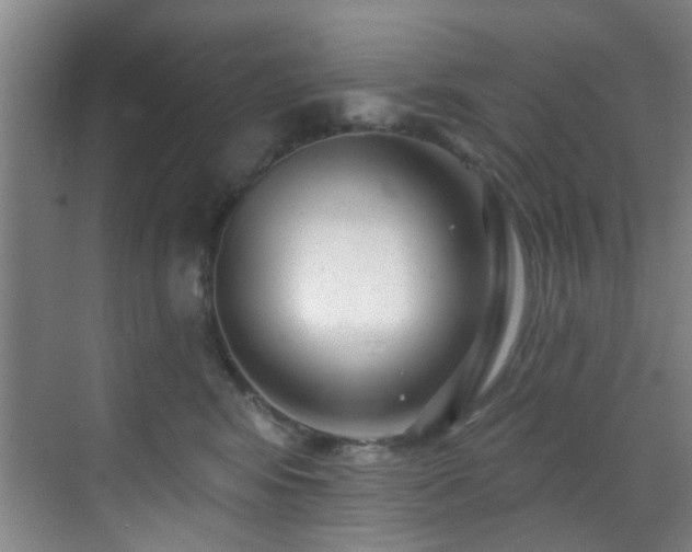 X0000070880424200606161207