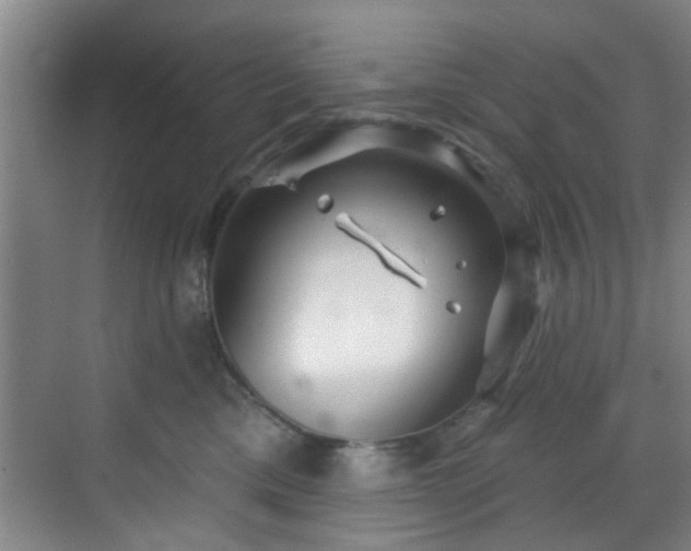 X0000070880425200606161207