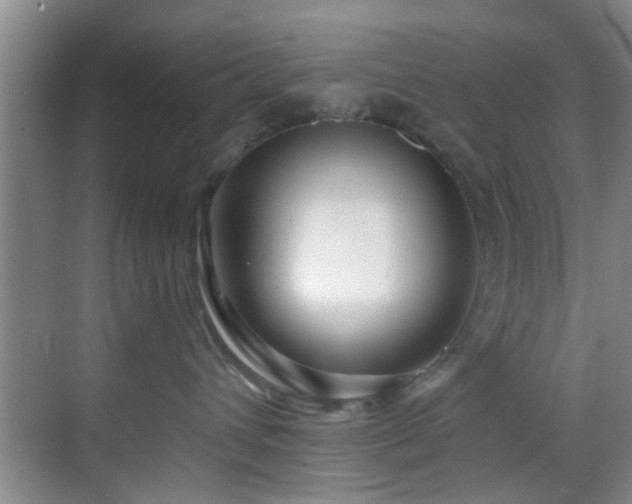 X0000070880432200606161207