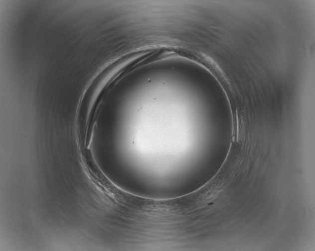 X0000070880435200606161207