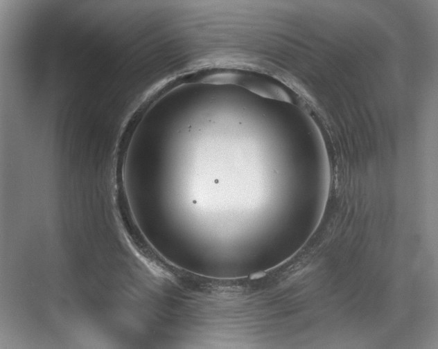 X0000070880438200606161207