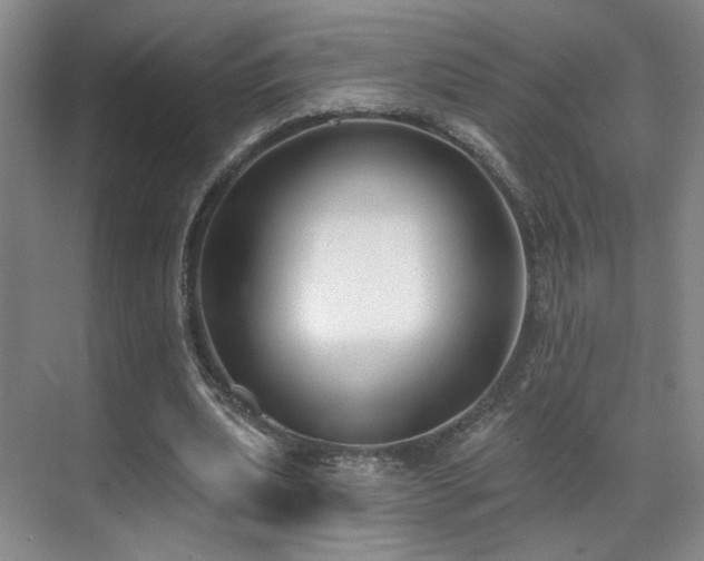 X0000070880439200606161207