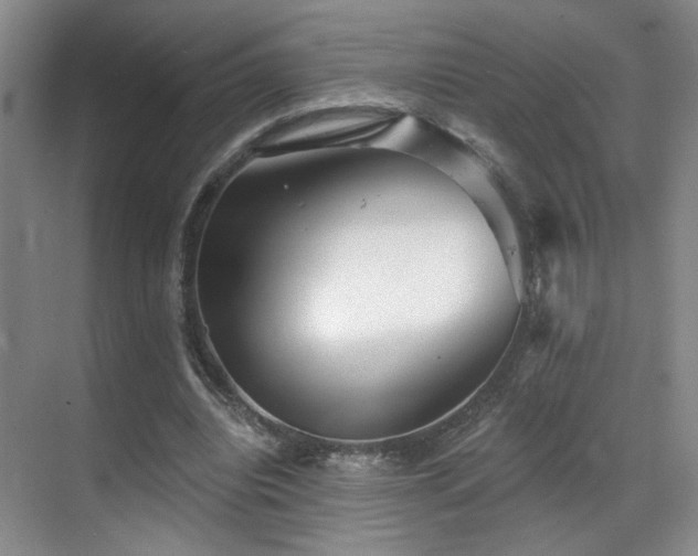 X0000070880440200606161207