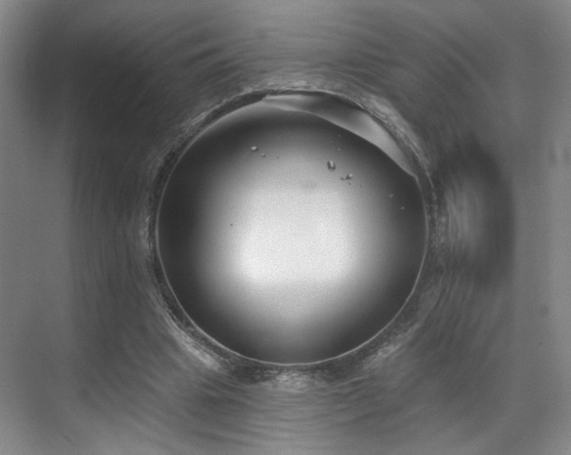 X0000070880441200606161207