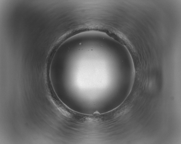 X0000070880442200606161207