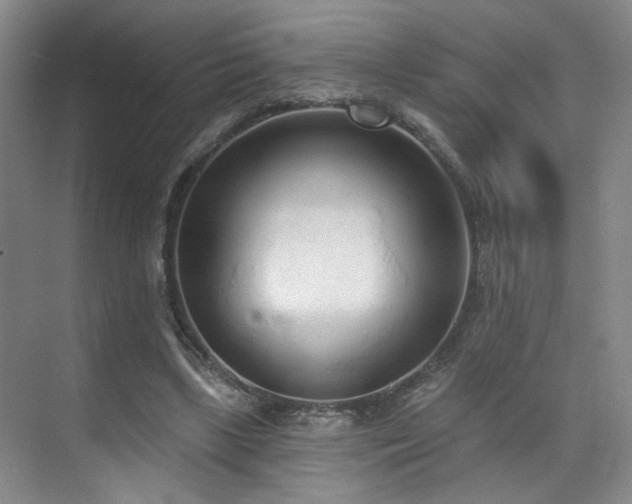 X0000070880443200606161207