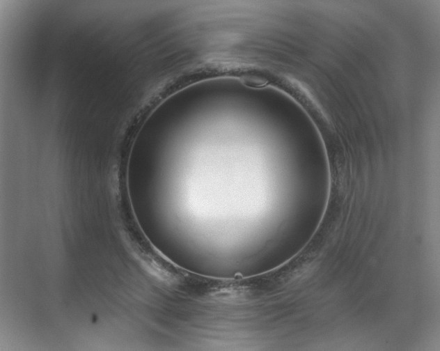 X0000070880447200606161207