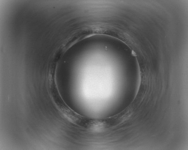 X0000070880456200606161207
