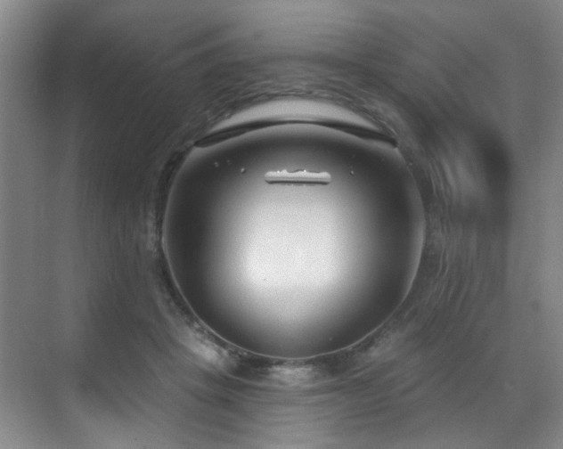 X0000070880457200606161207