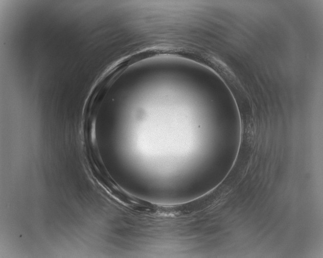 X0000070880484200606161206