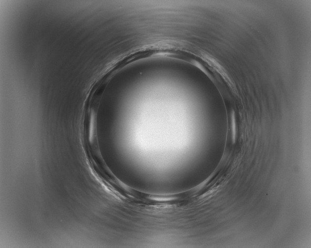 X0000070880485200606161206
