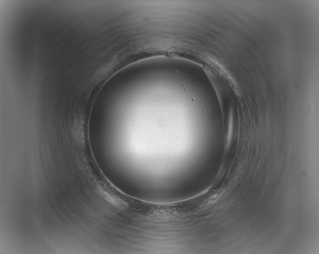X0000070880489200606161206