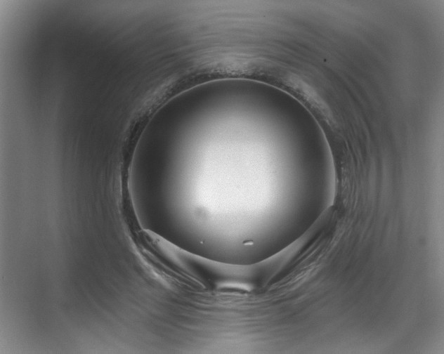 X0000070880493200606161206