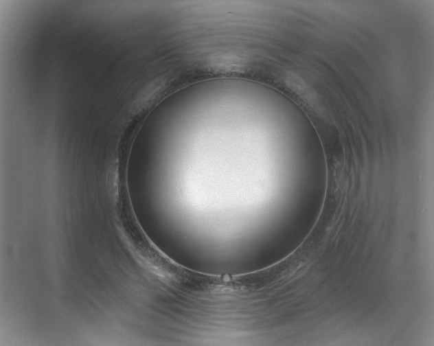 X0000070880494200606161206