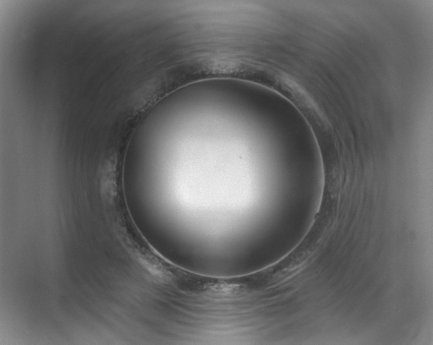 X0000070880497200606161206