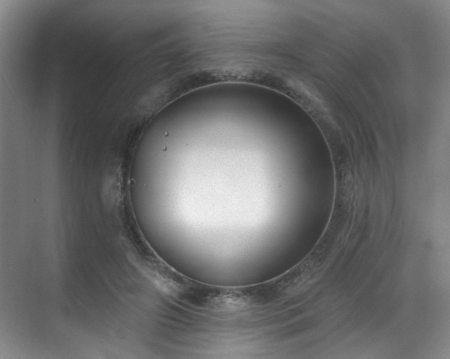 X0000070880498200606161206