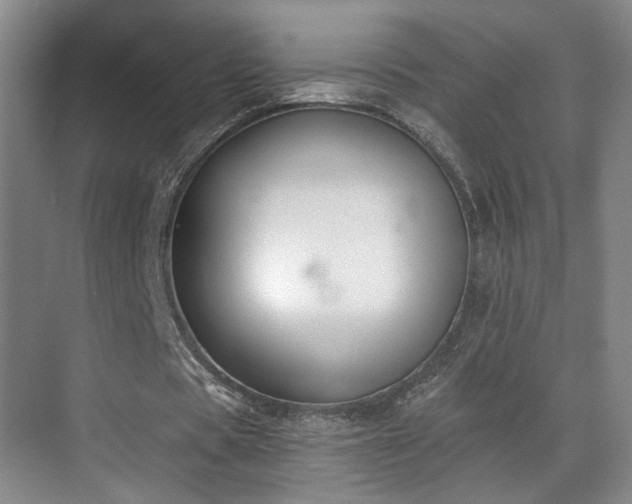 X0000070880529200606161205