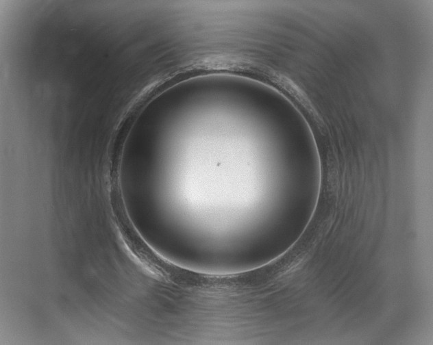 X0000070880530200606161205