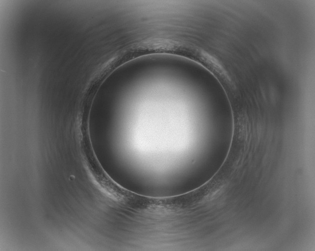 X0000070880538200606161205