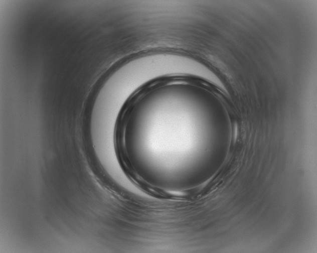X0000070880544200606161205