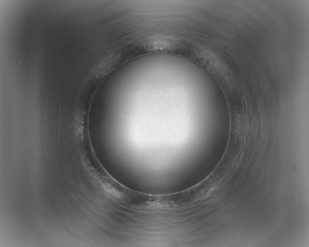X0000070880545200606161205