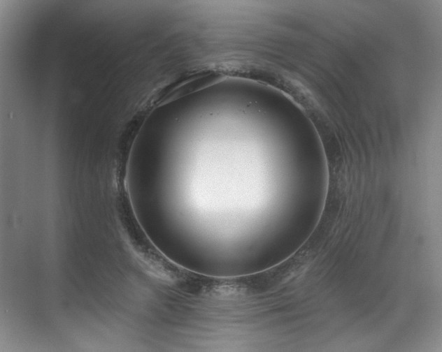 X0000070880546200606161205