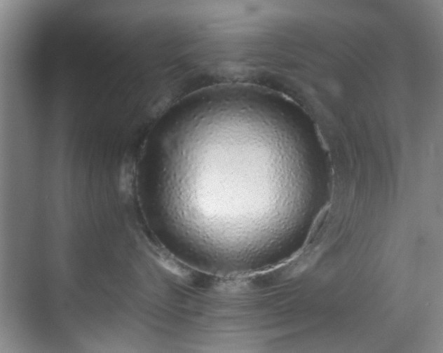X0000070880576200606161206