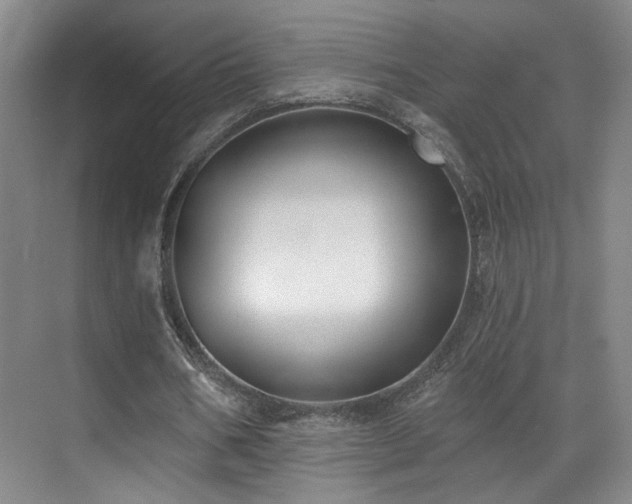 X0000070880578200606161205