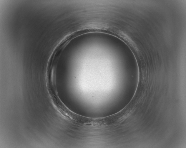 X0000070880580200606161205