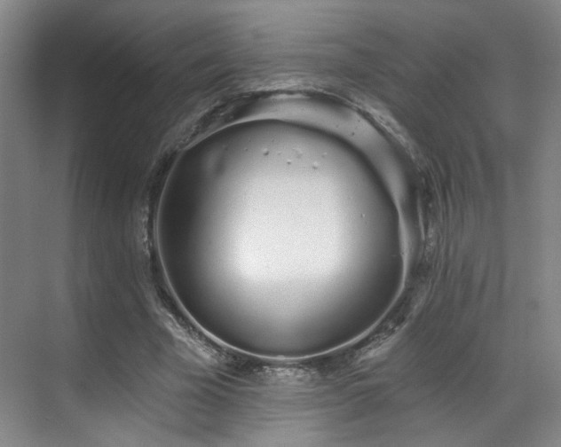 X0000070880585200606161205