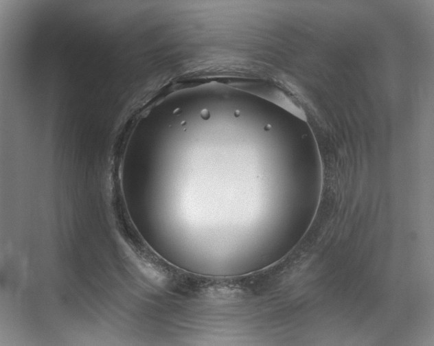 X0000070880586200606161205