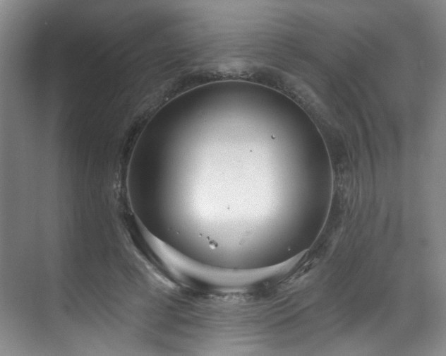 X0000070880593200606161205