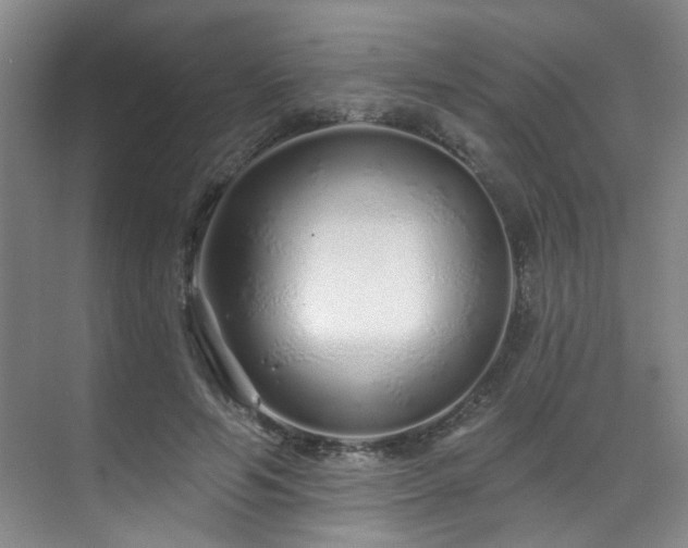 X0000070880594200606161205