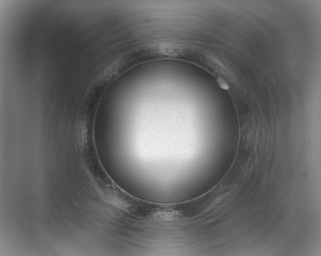 X0000070880595200606161205