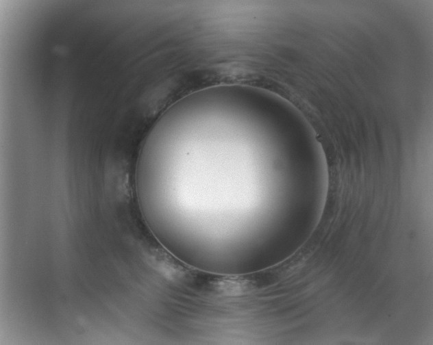 X0000070880615200606161204