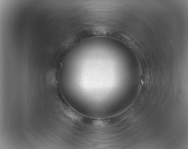 X0000070880616200606161204