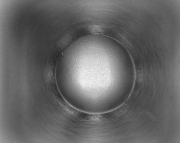 X0000070880618200606161204