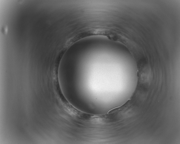 X0000070880620200606161204