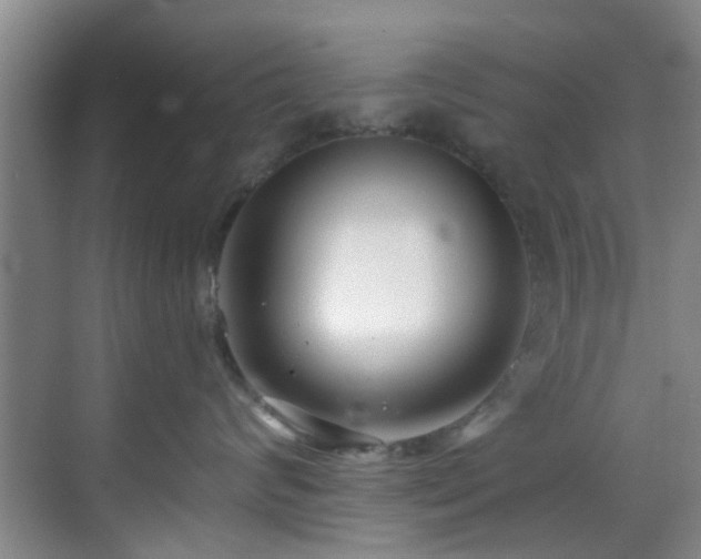 X0000070880624200606161204