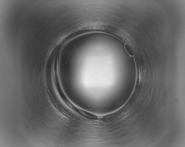 X0000070880627200606161203