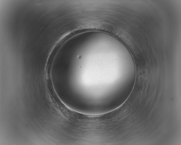 X0000070880628200606161203