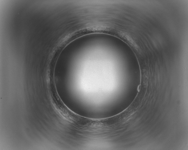 X0000070880631200606161203