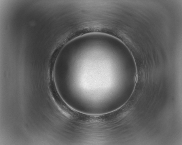 X0000070880638200606161203