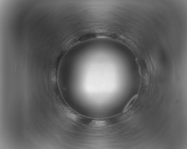 X0000070880665200606161204
