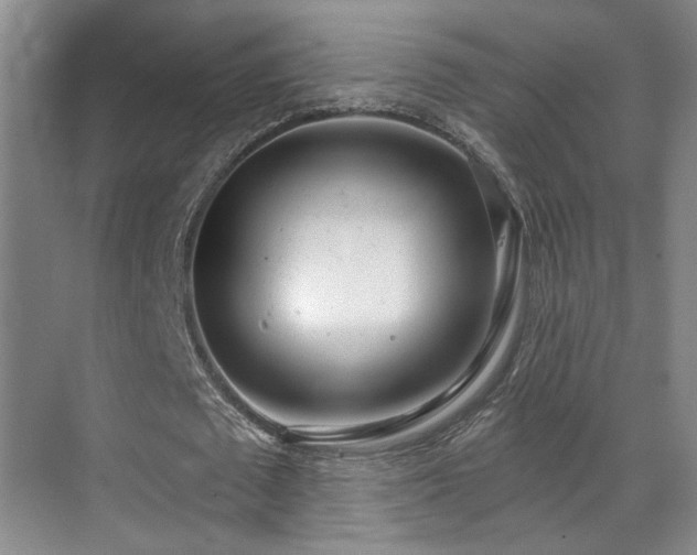 X0000070880673200606161203