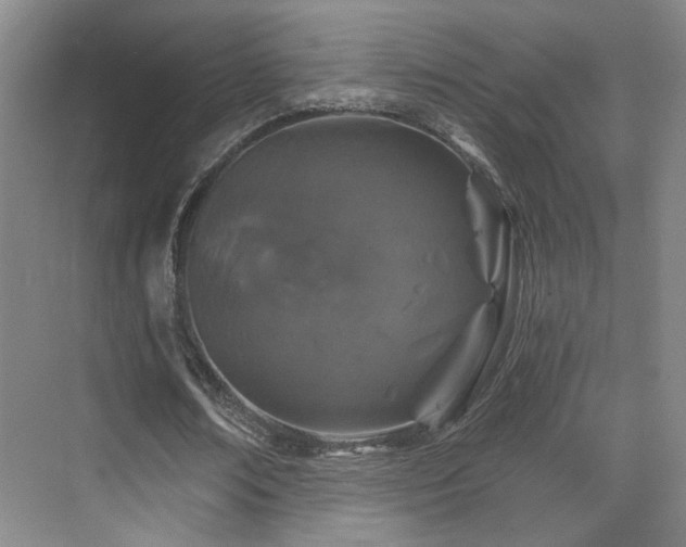 X0000070880674200606161203