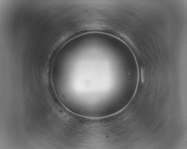 X0000070880675200606161203