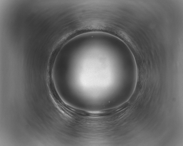 X0000070880677200606161203